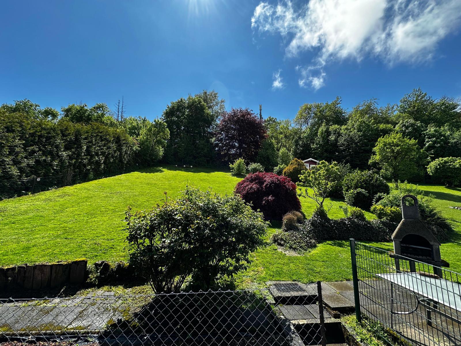Grüner Garten mit Grill und Beete, umgeben von Bäumen und Sträuchern unter blauem Himmel.