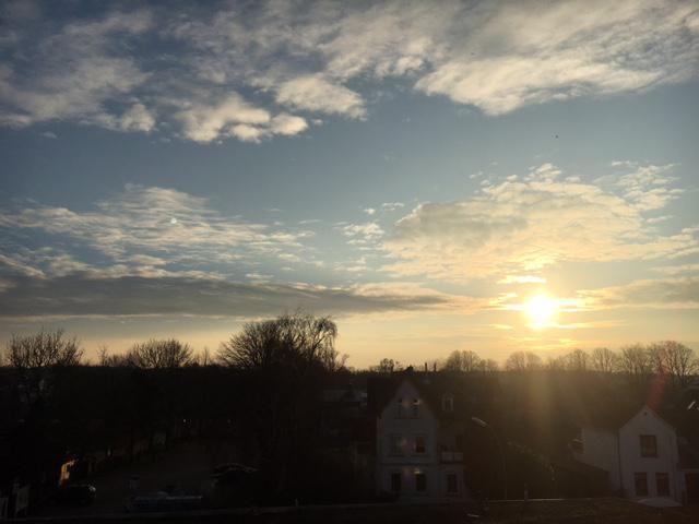 Sonnenuntergang über Dächer und Bäume in einer ruhigen Wohngegend.