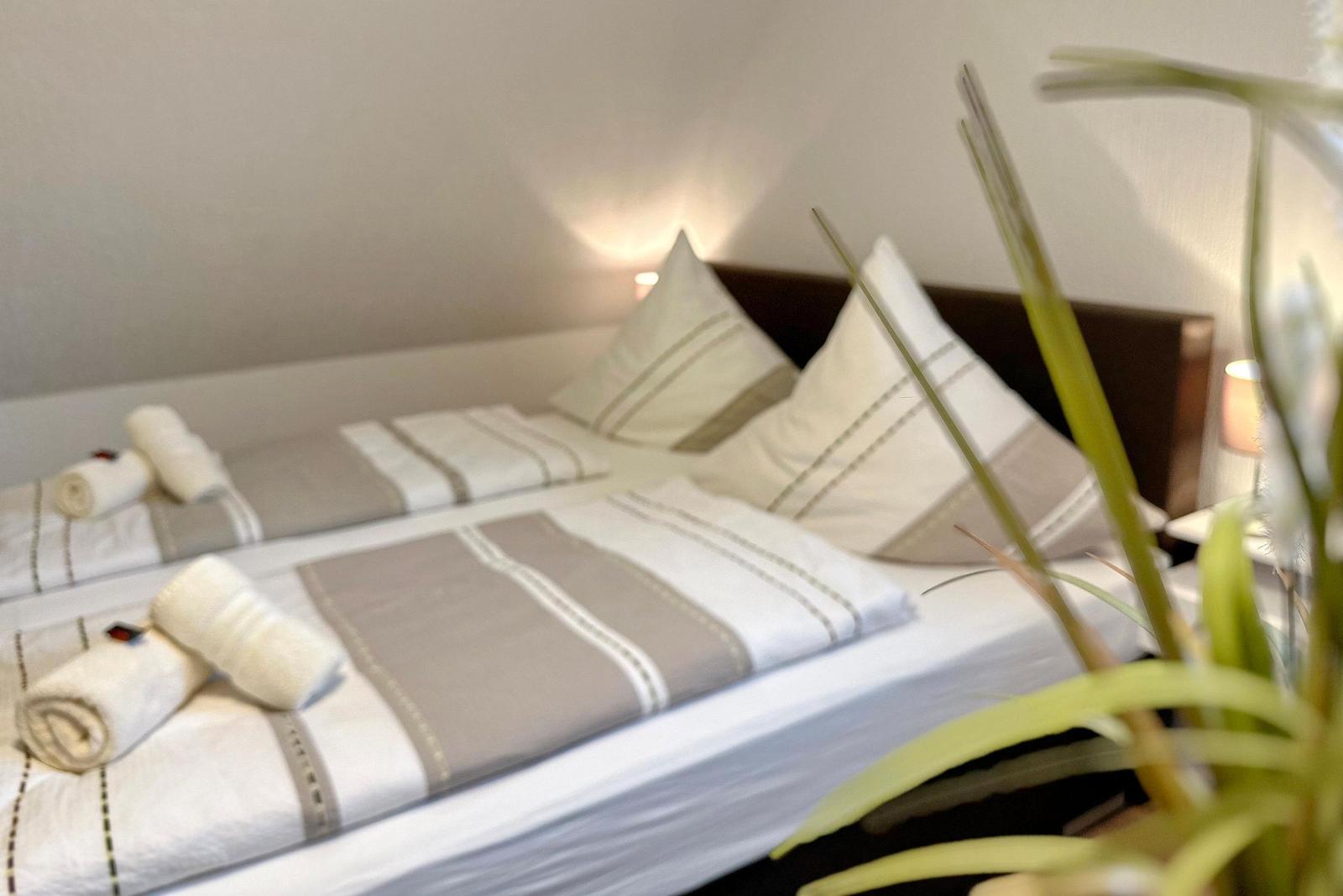 Doppelbett mit weißen und grauen Bettwäsche, zwei Nachttische mit Lampen und Pflanze im Vordergrund.