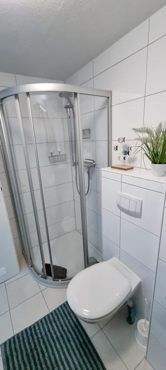 Dusche mit Duschwand, WC und Pflanze an der Wand.
