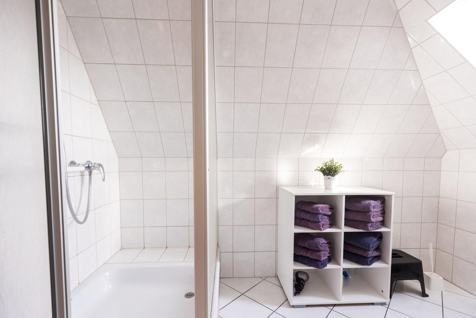Dusche mit Duschbrause und weißer Duschwanne. Regal mit Handtüchern und Pflanze.