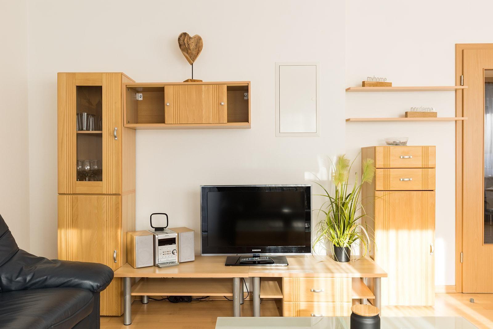 Wohnzimmer mit Holzmöbeln, Fernseher und Pflanze