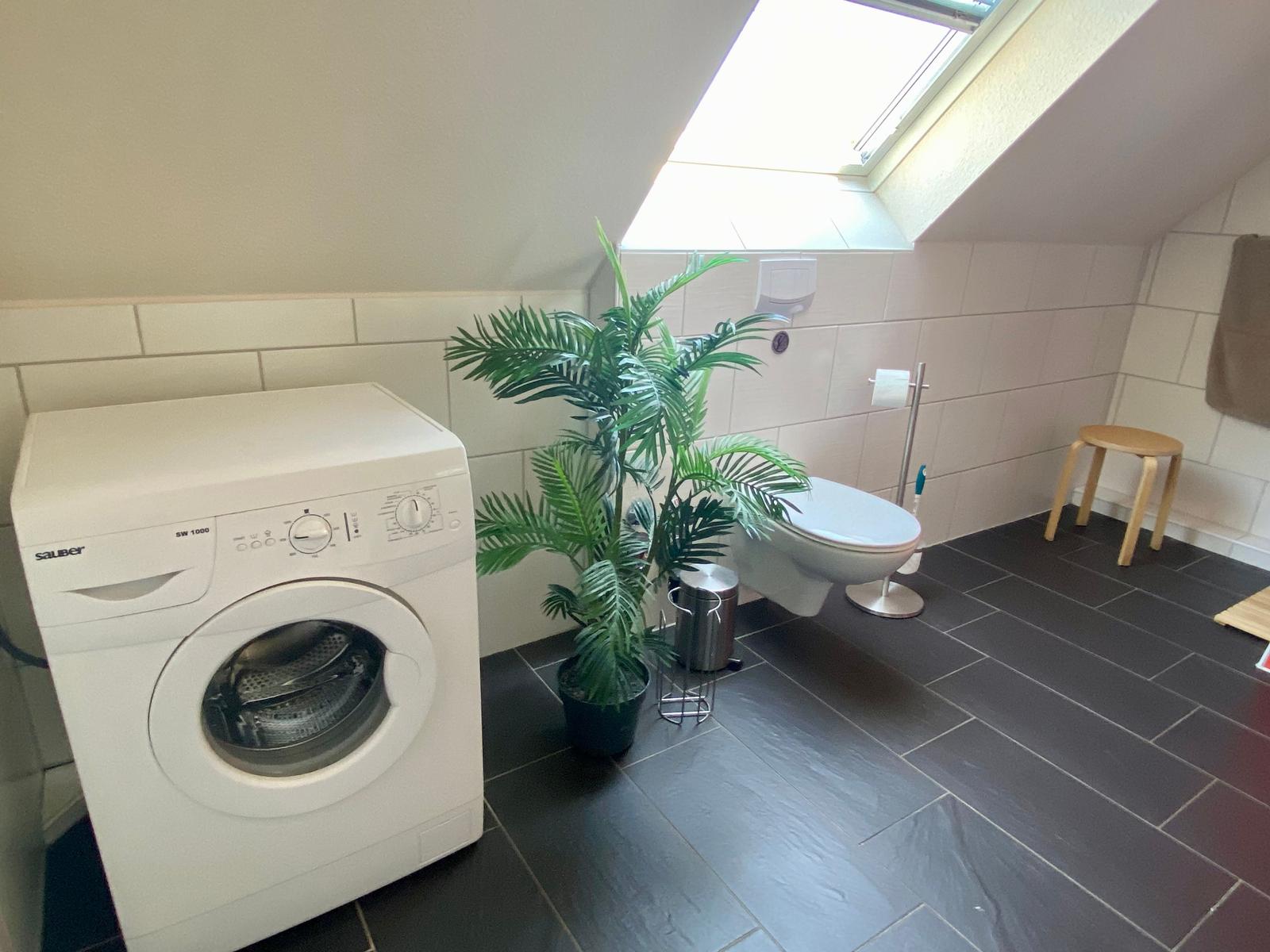 Wohnung mit Waschmaschine, Toilette und Pflanze unter Dachschrägen.
