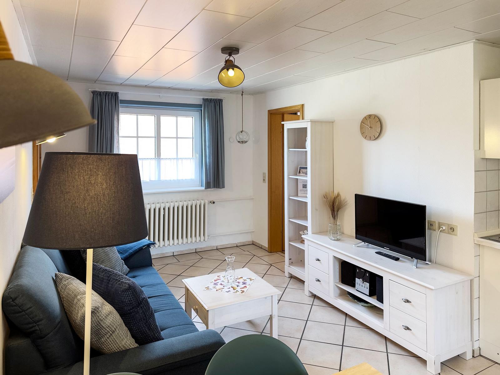 Living room with sofa, TV, and table. Window with curtains and radiator.