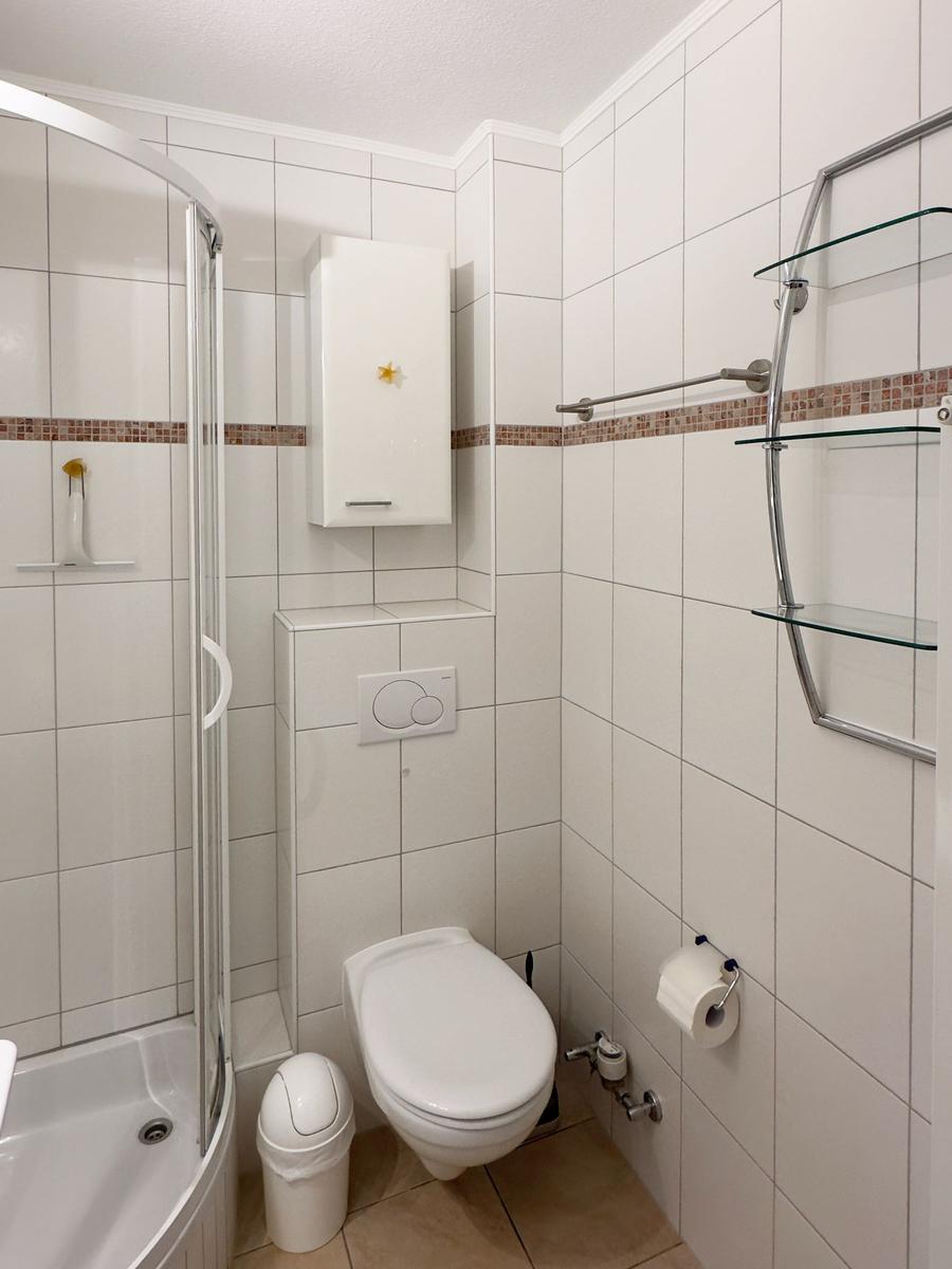 Badezimmer mit Dusche, WC und Glasregal an der Wand.