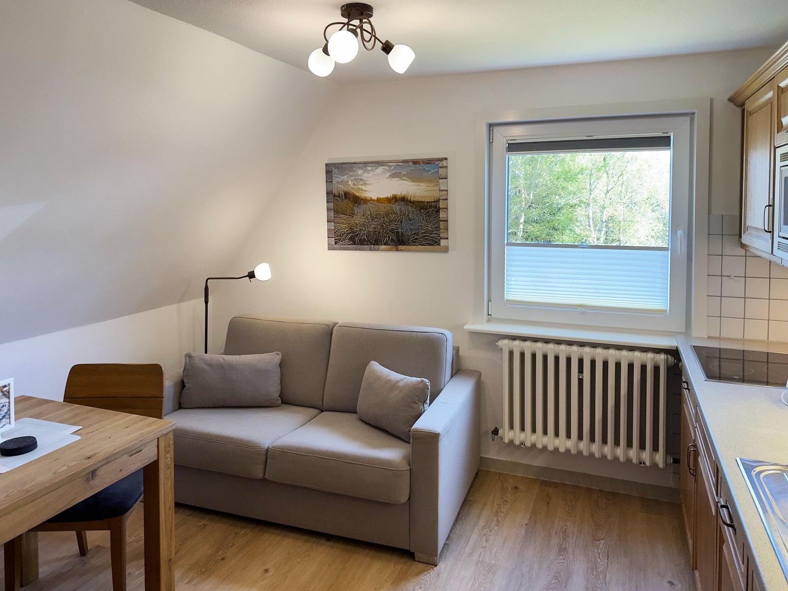 Wohnbereich mit Sofa, Tisch, Fenster und Küchenzeile.