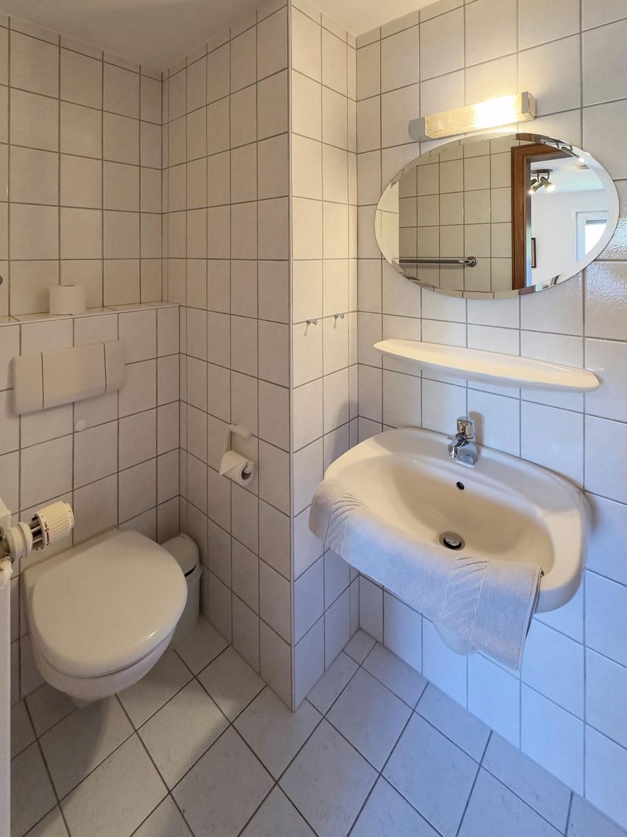 Badezimmer mit Toilette, Waschbecken und Spiegel an der Wand.