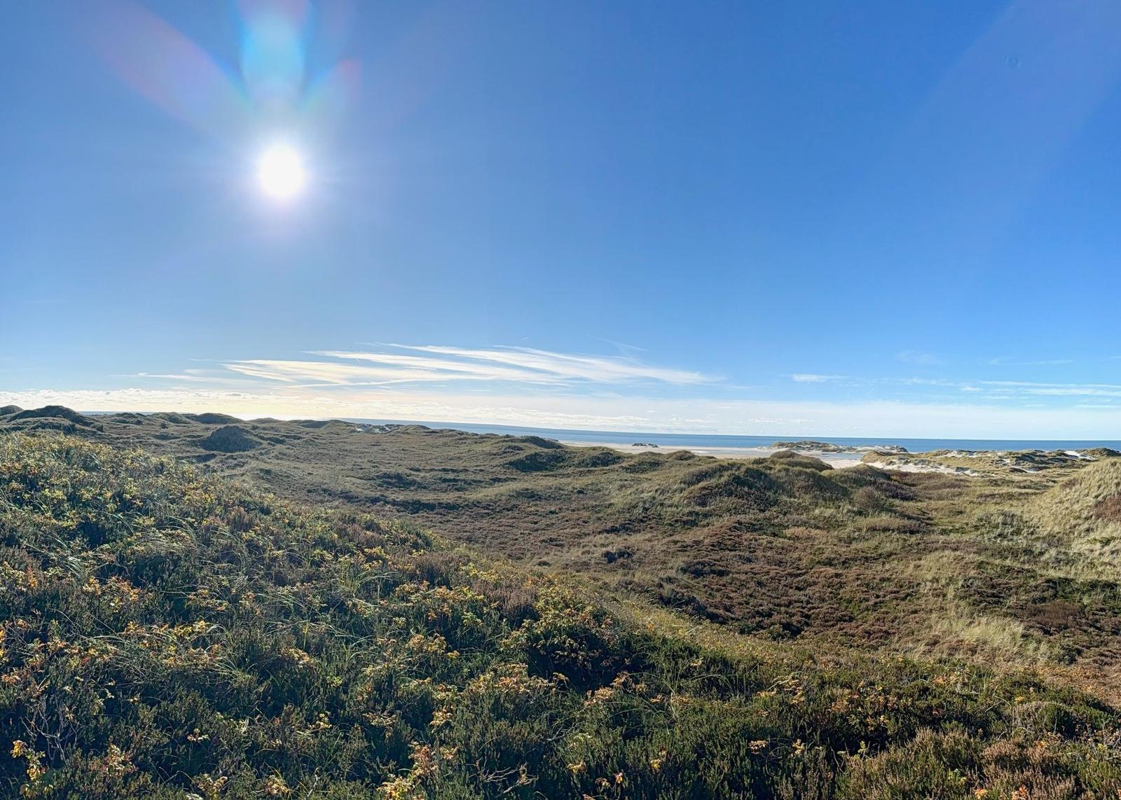 Insel Amrum - Natur pur