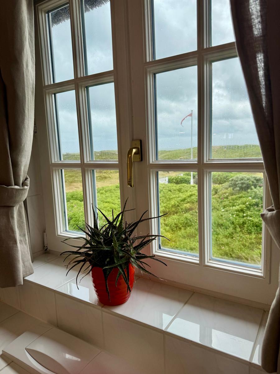 Fenster mit Blick auf grüne Wiesen und Flagge. Auf dem Fensterbrett steht eine Pflanze in einem roten Topf.