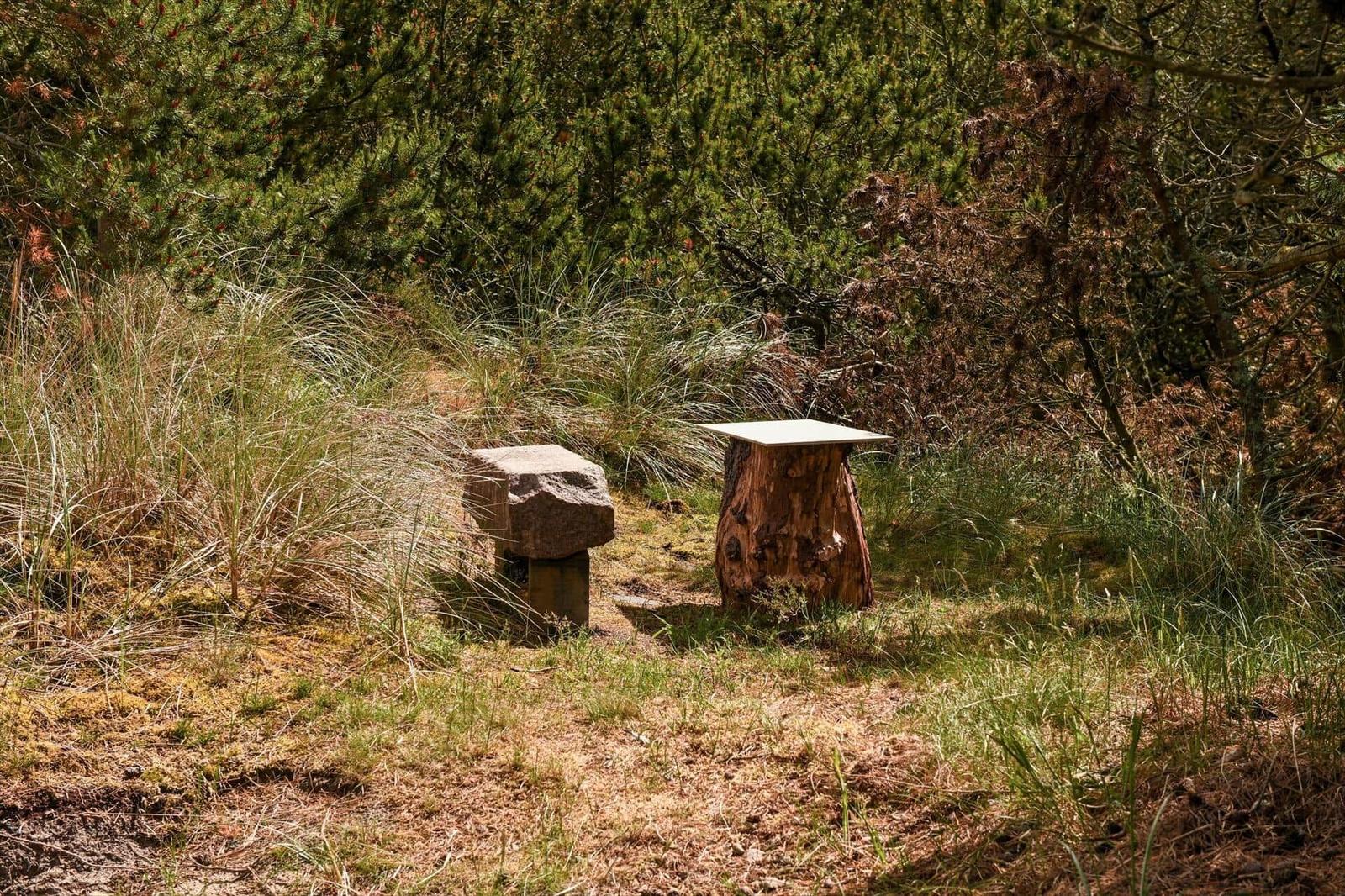 Zwei Sitzgelegenheiten im Wald: Steinbank und Baumstumpf mit Tischplatte.