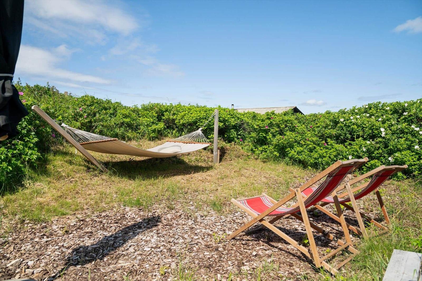 Hammock und zwei Liegestühle im Garten mit grüner Vegetation und blauem Himmel.
