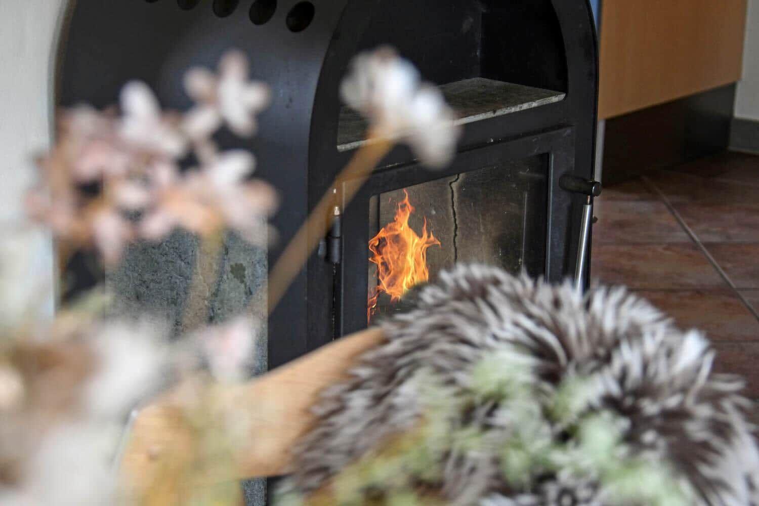 Ein Kaminofen mit brennendem Feuer, vorne sind Blumen und ein Fellkissen sichtbar.