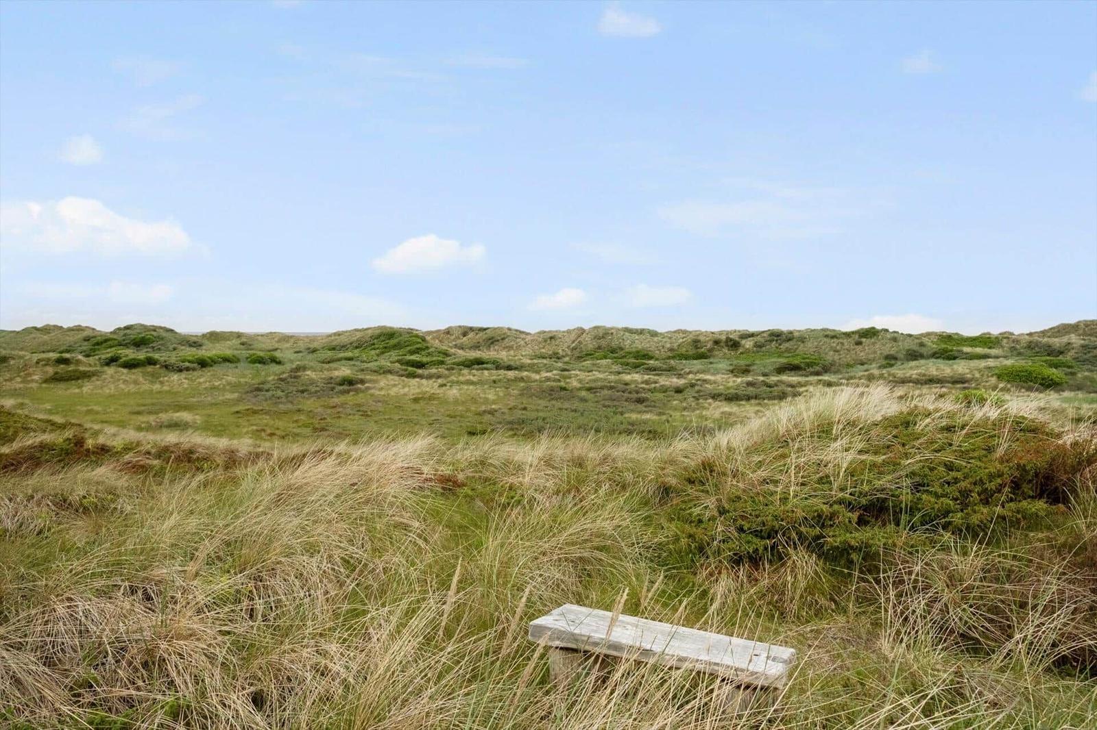 Holzbank in Grasland mit Dünen im Hintergrund unter blauem Himmel.