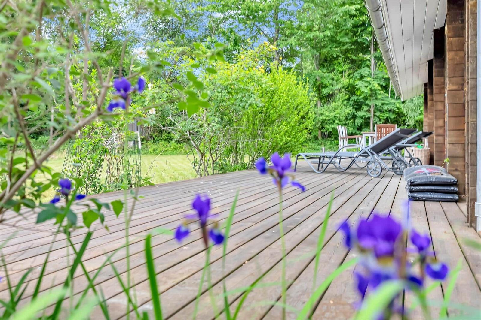 Wooden terrace with lounge chairs and blooming flowers in the green.