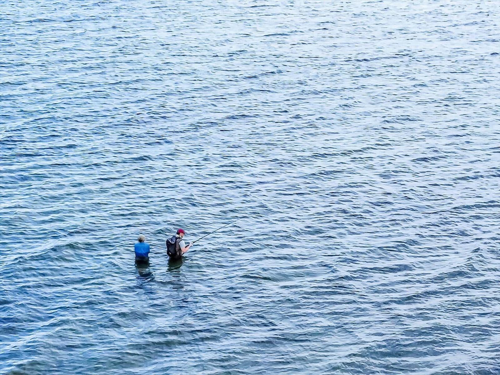 Two people stand in water and fish with fishing rods.