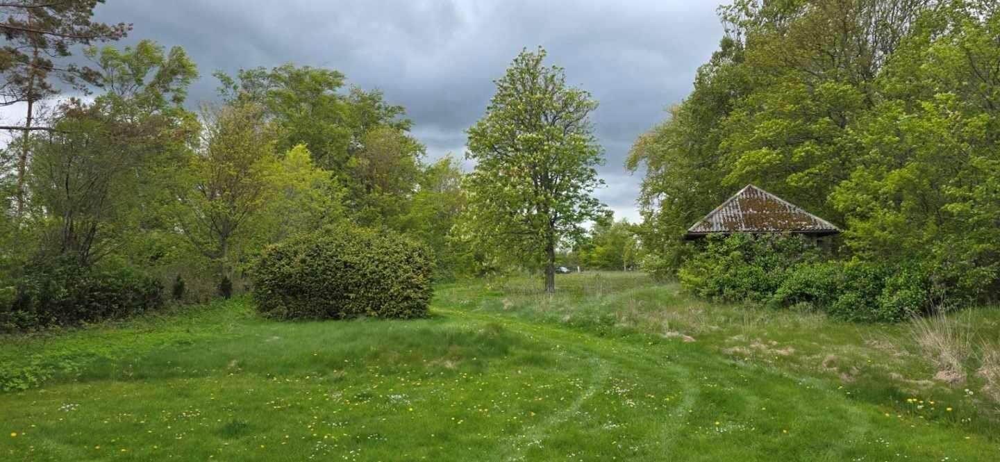 Green field with trees and a small wooden house in the background.