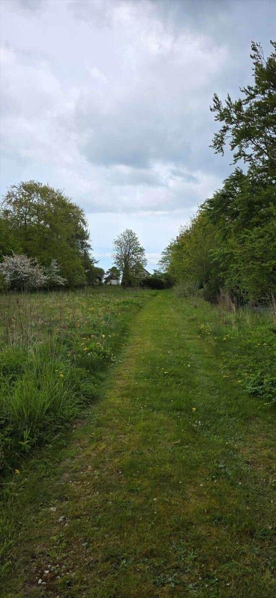 Green path through meadows and trees to the vacation rental