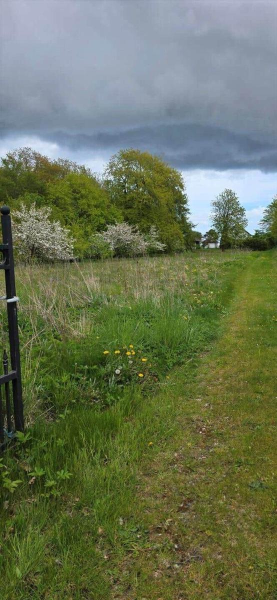 Green path through meadows with flowers and trees under cloudy sky.