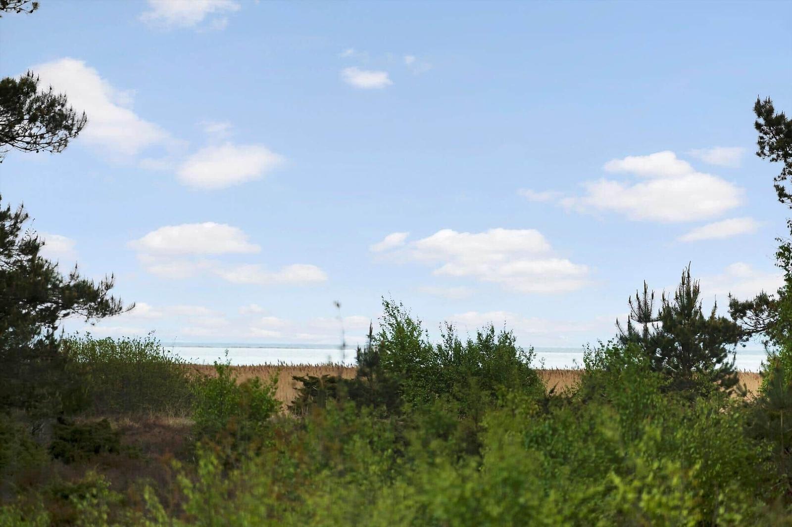Blick auf das Meer durch grüne Vegetation und Bäume unter einem blauen Himmel mit weißen Wolken.