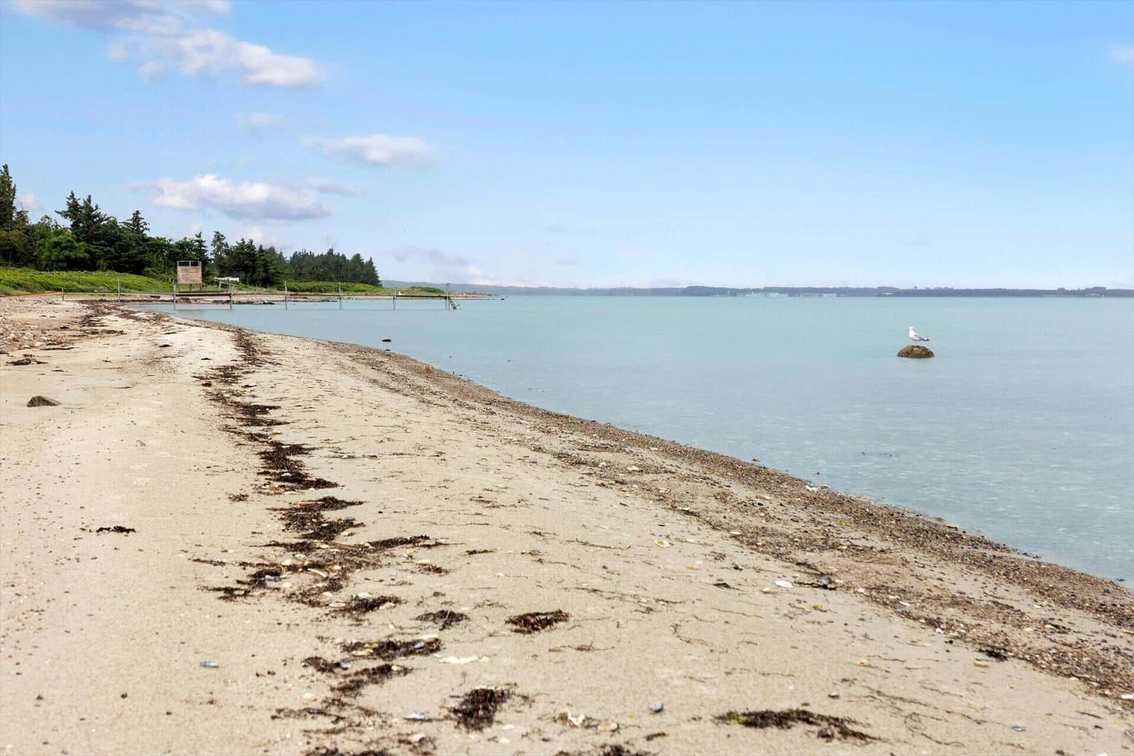 Strand mit Sand und Seegras, Seevogel auf Felsen, bewaldeter Uferbereich im Hintergrund.