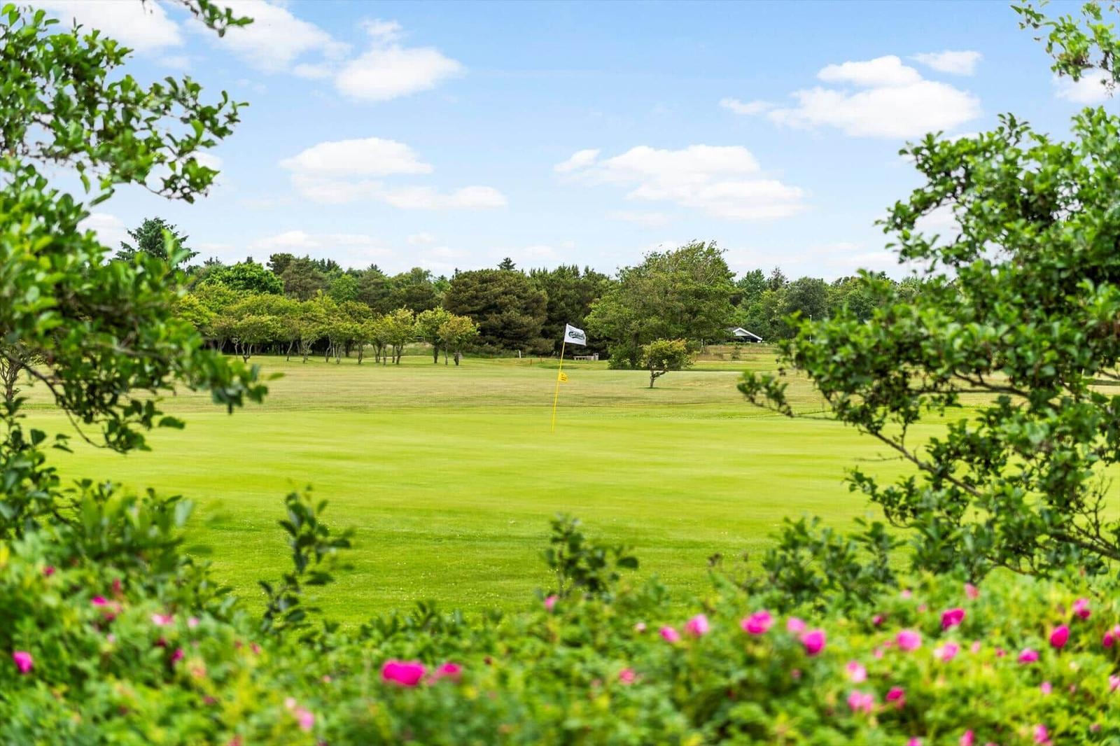 Golfplatz mit grünem Rasen, Bäumen und Flagge im Hintergrund.