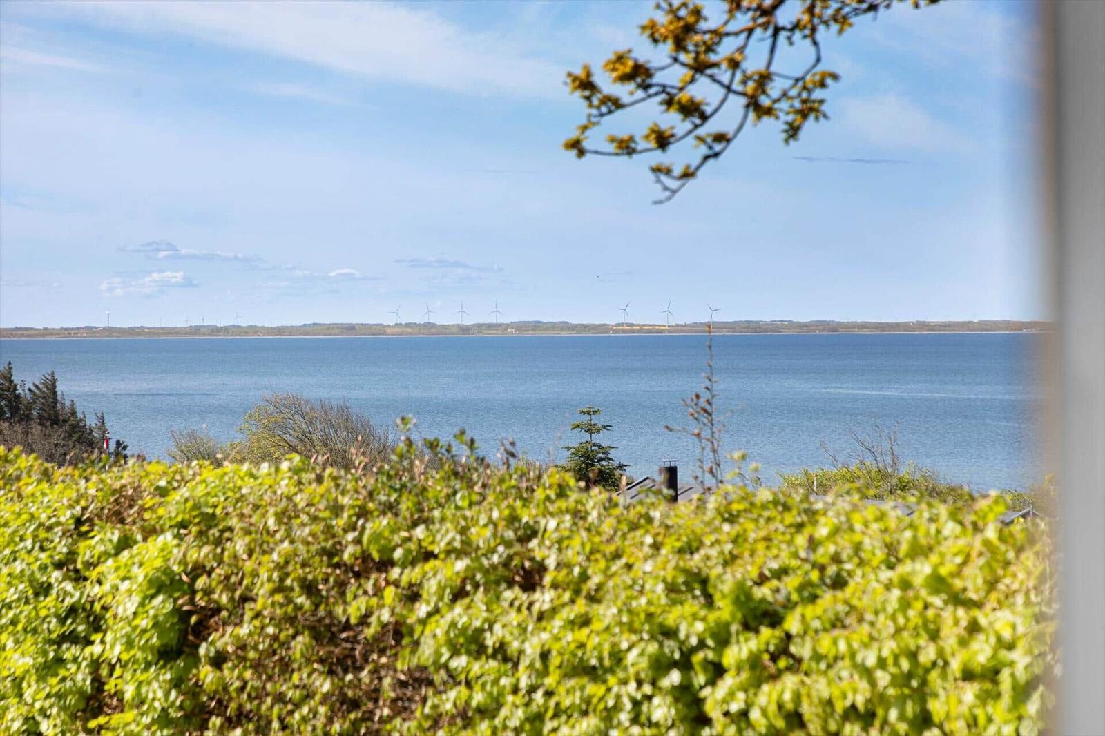 Blick auf See mit Windrädern im Hintergrund und grüner Vegetation im Vordergrund.