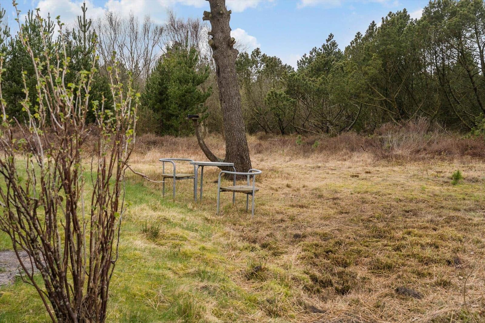 Außenbereich mit Tisch und zwei Stühlen unter einem Baum im Wald.