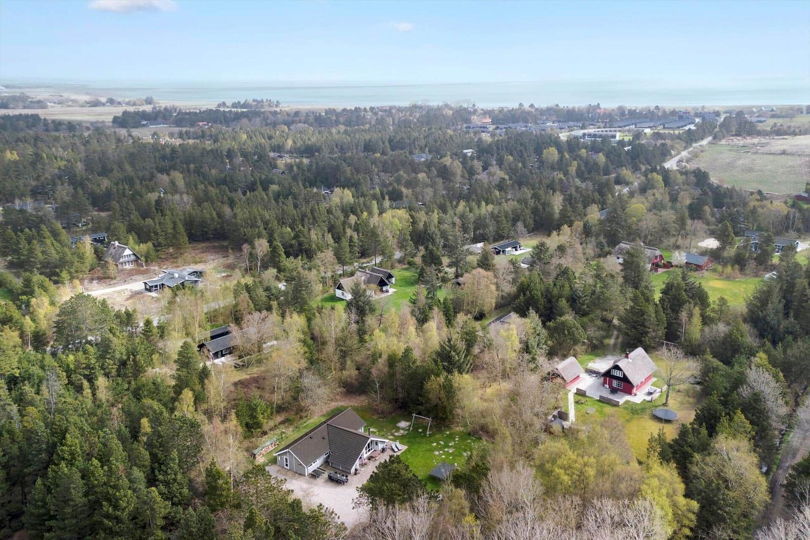 Luftbild von Ferienhäusern in einem Waldgebiet mit Blick auf eine Küstenlandschaft.