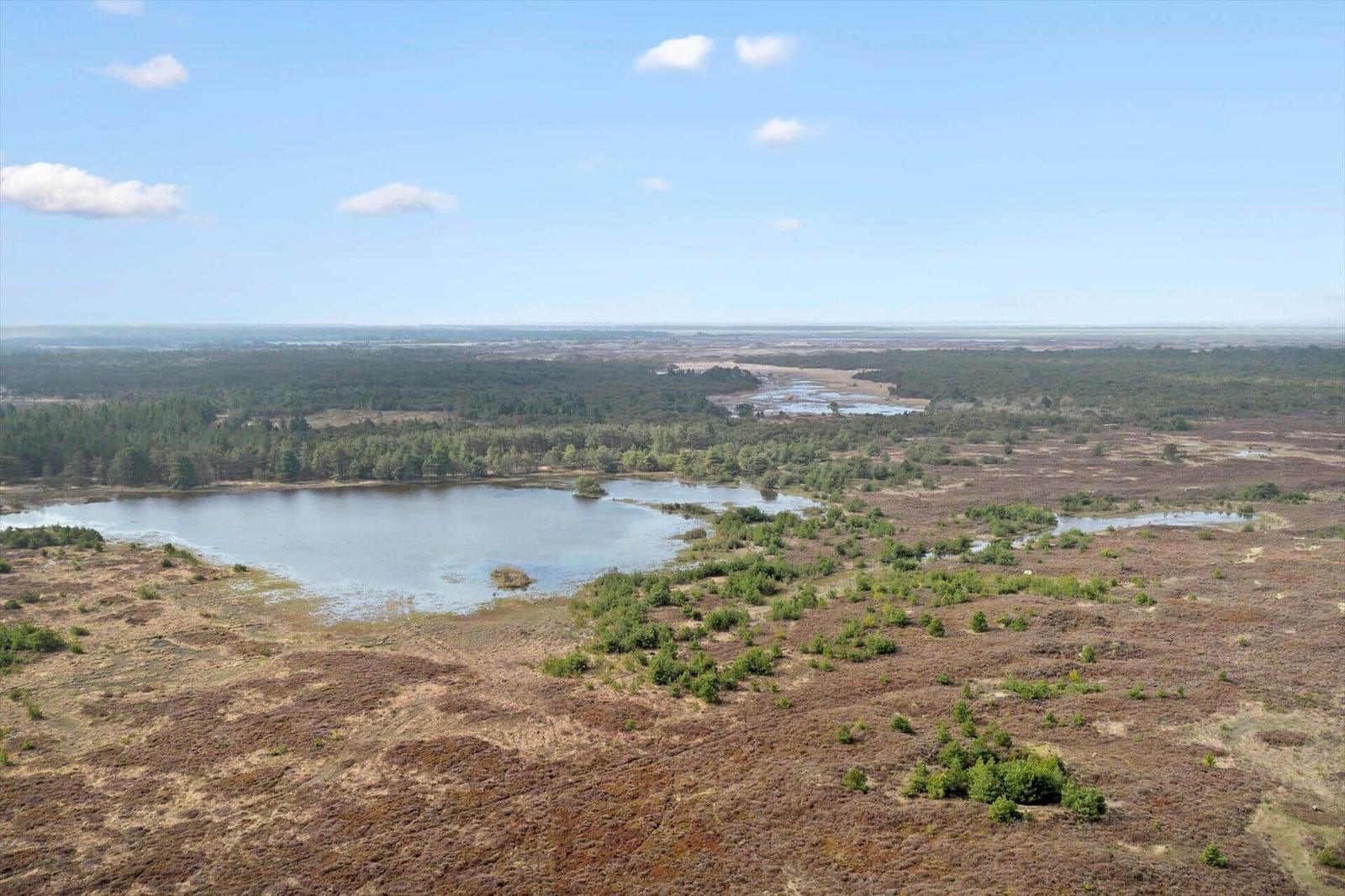 Weitläufiges Moor mit Seen und Wald unter blauem Himmel.