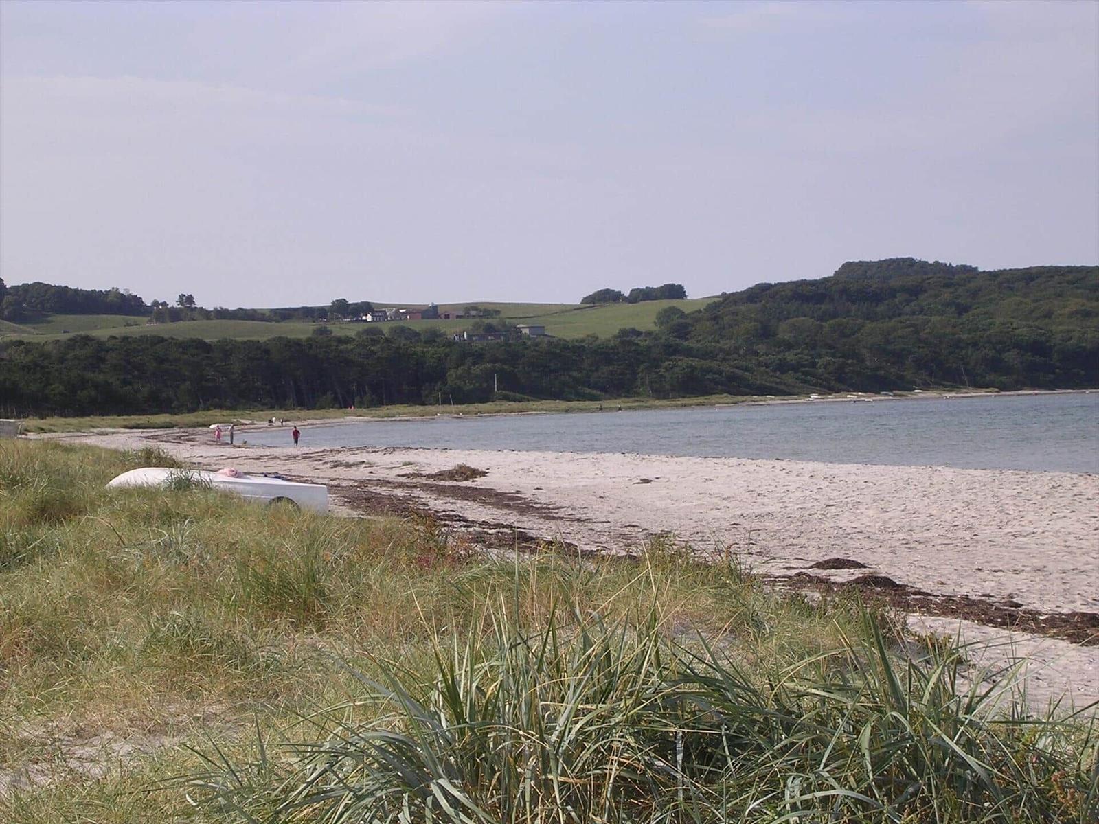 Strand mit Sandstrand, Gras und Wasser. Menschen sind am Ufer.
