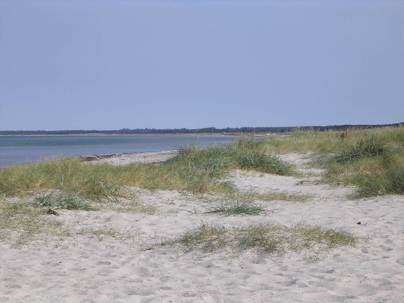 Strand mit Sanddünen und Gras. Im Hintergrund Wasser und Horizont.