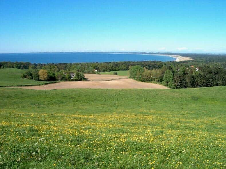 Weite grüne Wiesen mit gelben Blumen, Wald und Strand im Hintergrund.