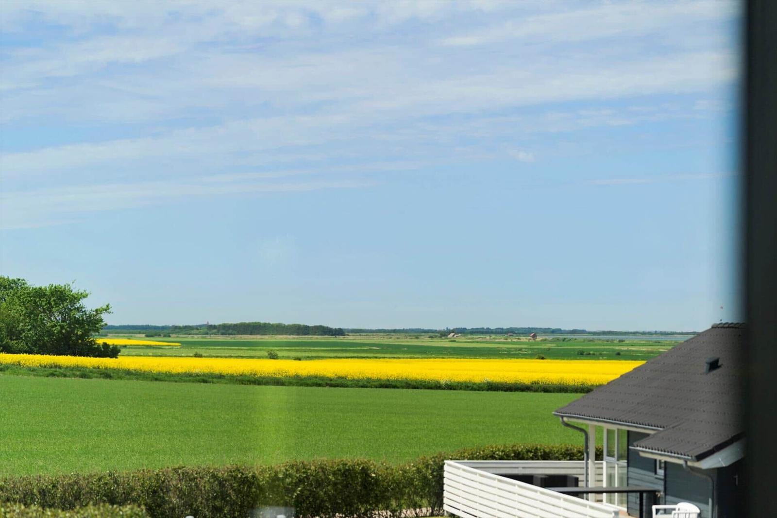 Von der Terrasse blickt man auf Felder mit gelben Blumen und grüne Wiesen unter blauem Himmel.