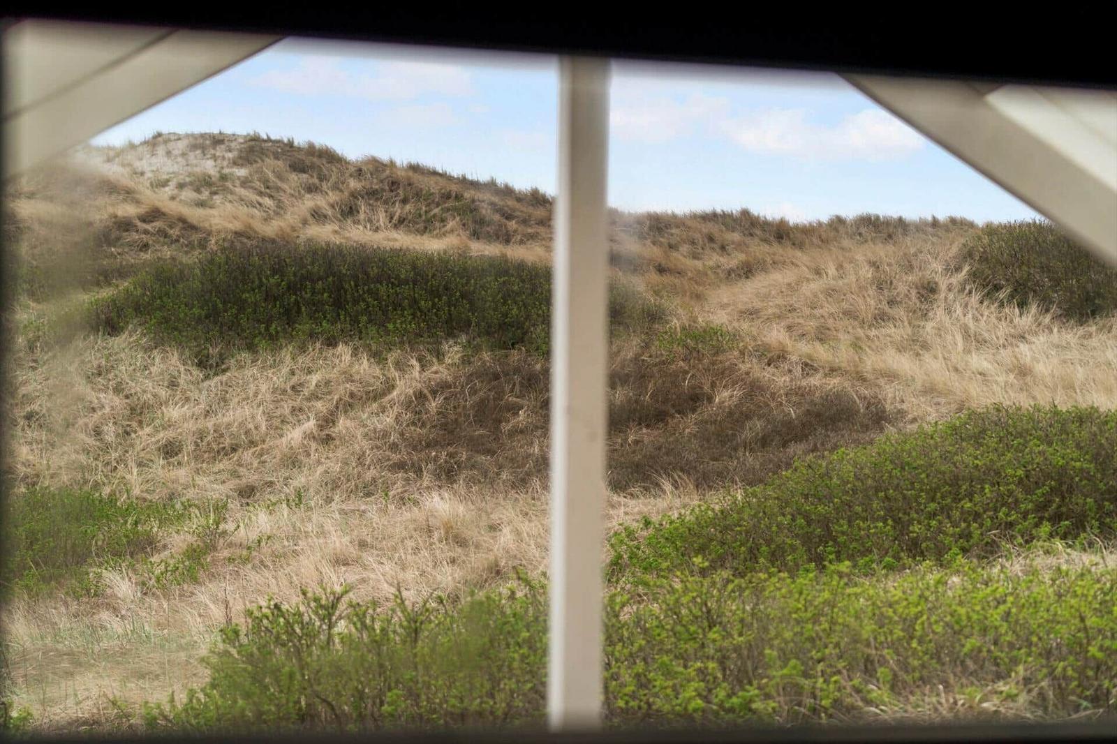 Durch ein Fenster blickt man auf sandige Dünen mit trockenem Gras und grünen Sträuchern.