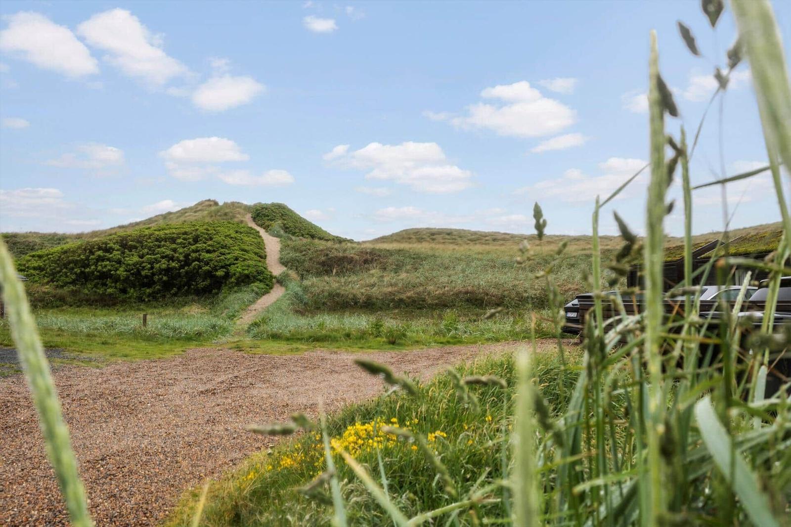 Weg führt über Dünen zu einem Holzhaus. Gras und Blumen im Vordergrund.