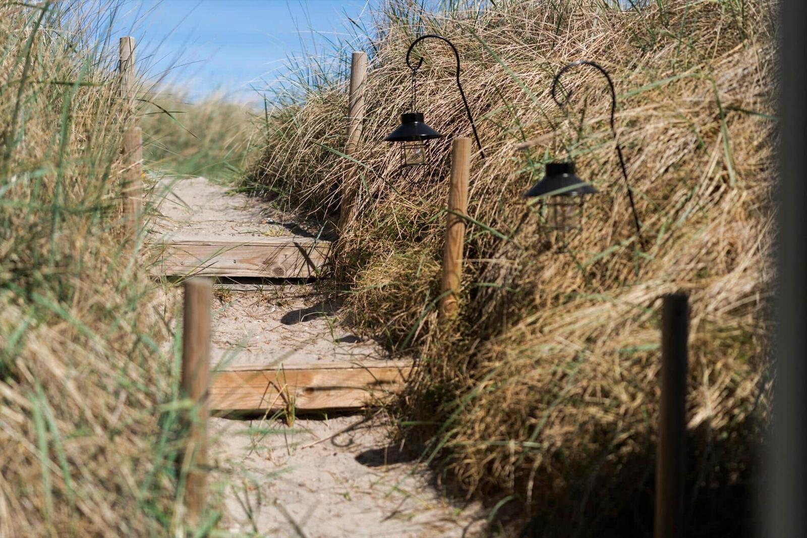 Holzsteg durch hohes Gras mit zwei schwarzen Laterne an Pfosten