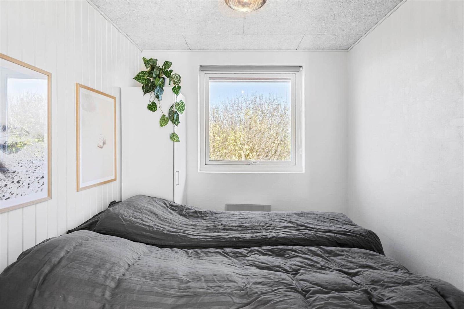 Schlafzimmer mit Bett, Fenster und Pflanze an der Wand.