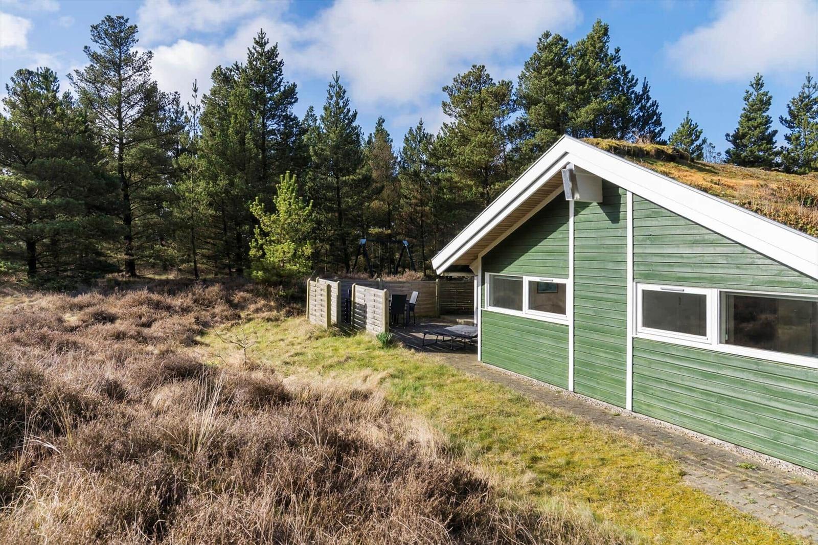Grünes Holzhaus mit Dachgarten, umgeben von Nadelbäumen und trockenem Gras.