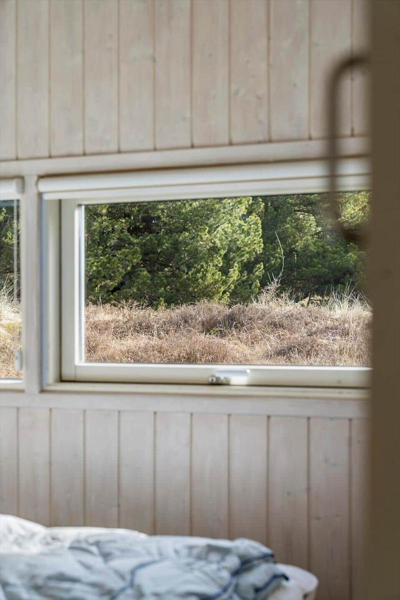 Durch das Fenster ist ein Wald mit hohem Gras sichtbar. Die Wand ist mit Holz verkleidet.