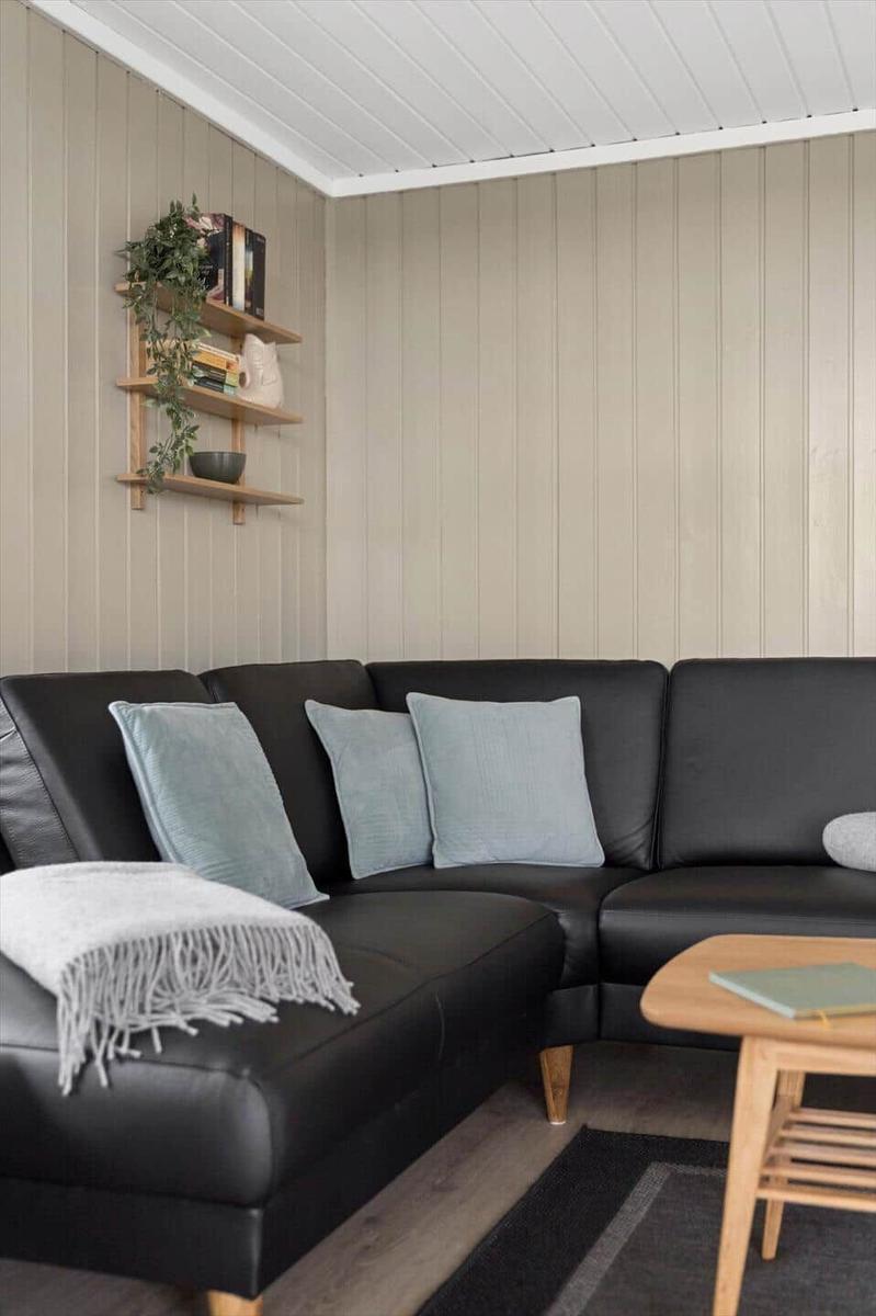 Schwarzes Sofa mit hellblauen Kissen und weißer Decke. Holzregal an der Wand mit Pflanze und Büchern.