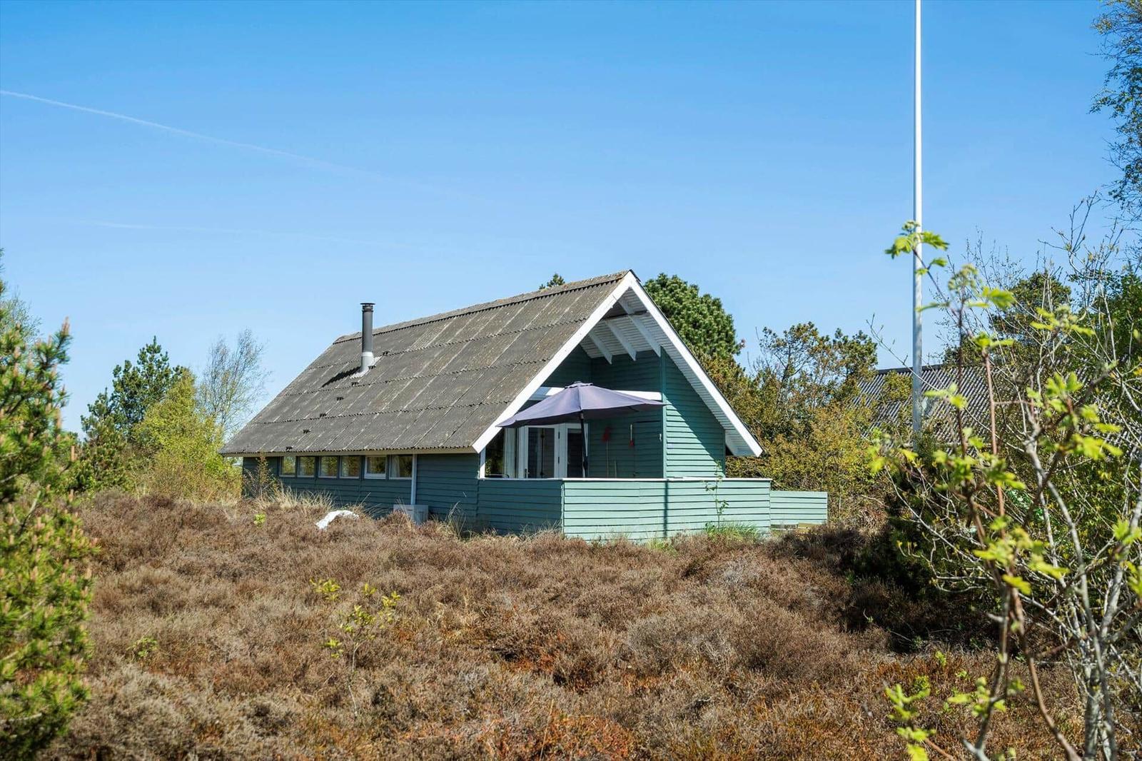 Ein grünes Haus mit Dachterrasse und Sonnenschirm inmitten von Heide.