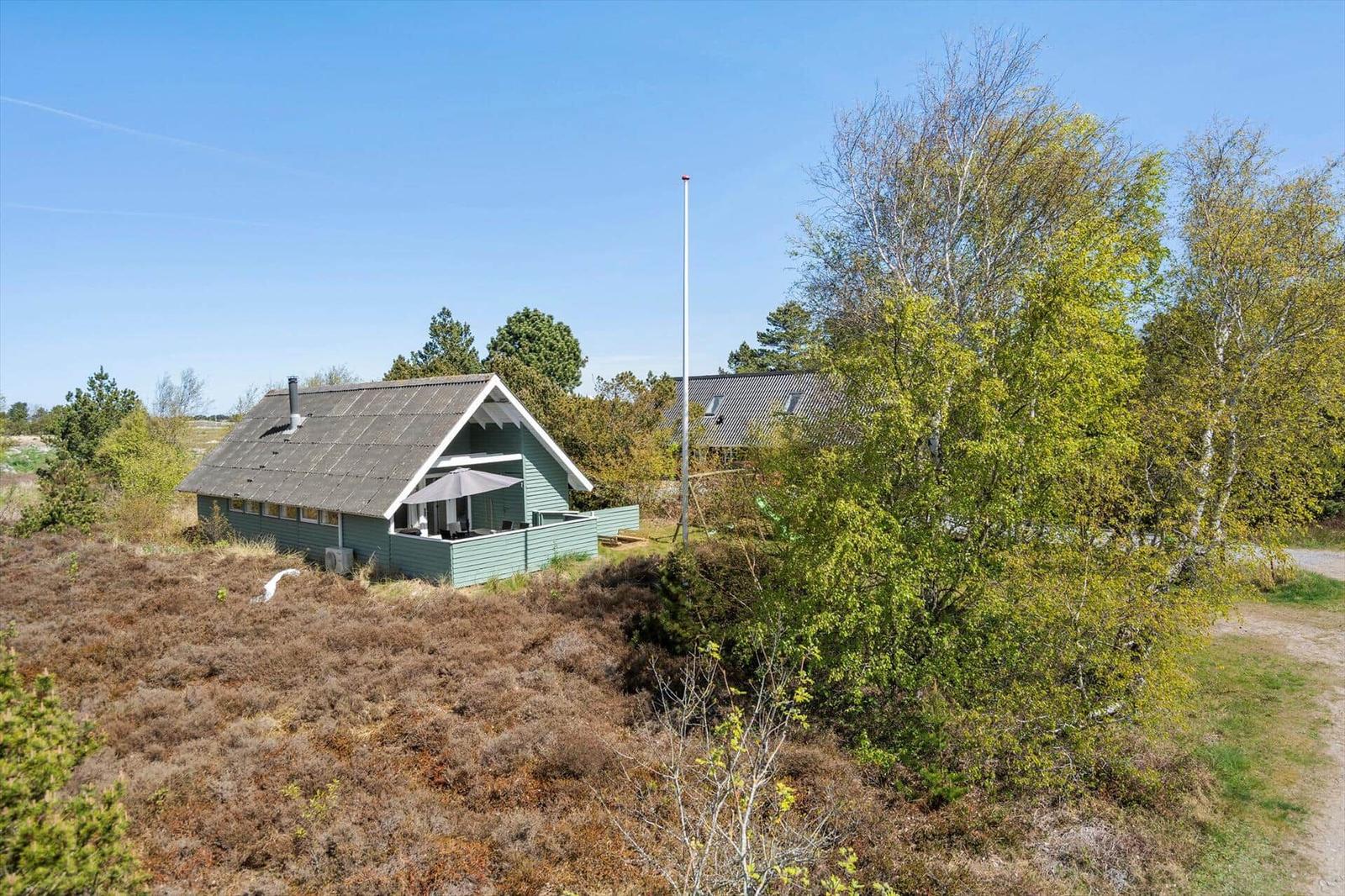Ein grünes Haus mit Terrasse steht inmitten von Bäumen und Heideflächen unter blauem Himmel.