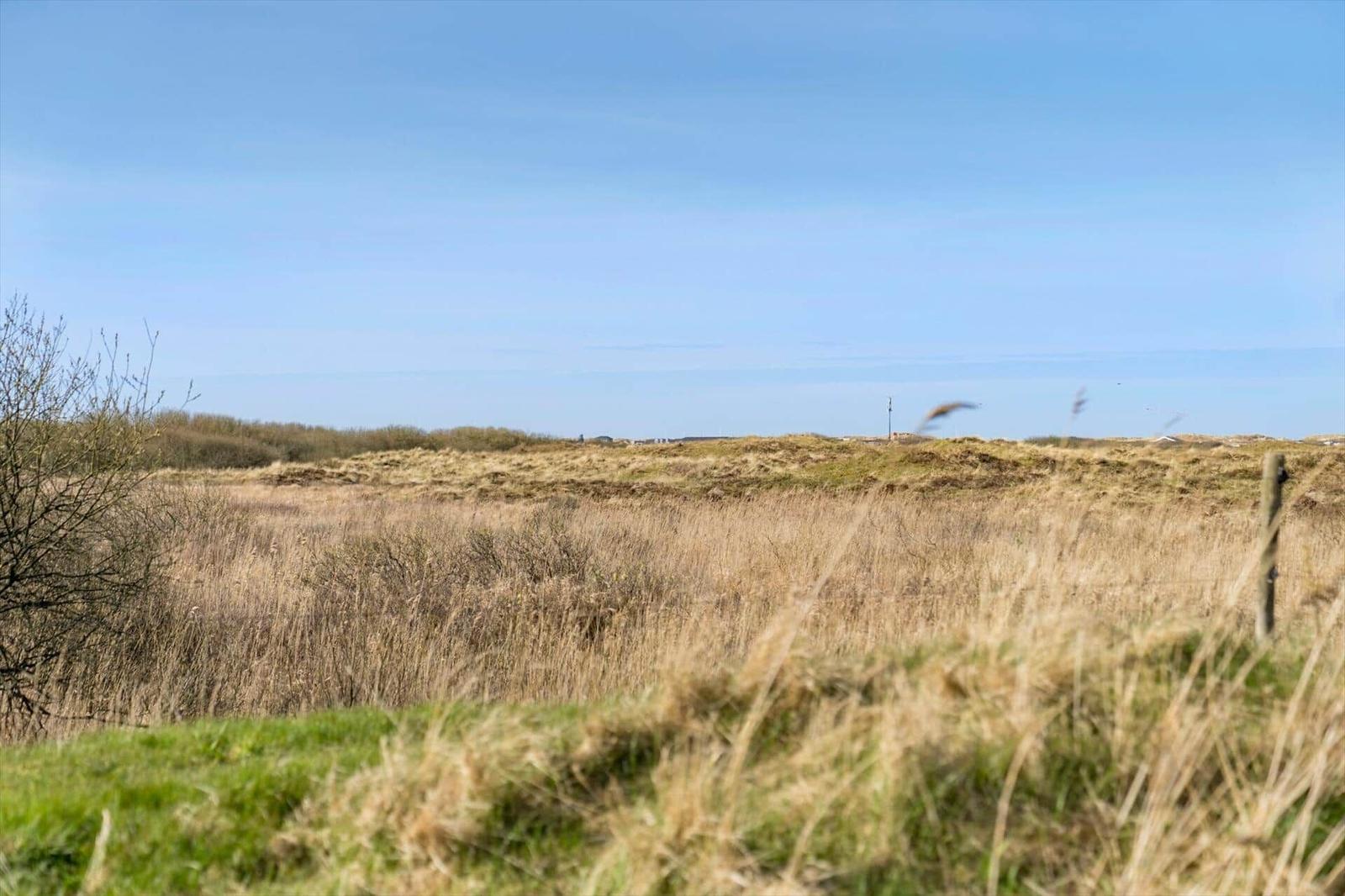 Weitläufiges Feld mit trockenem Gras unter blauem Himmel