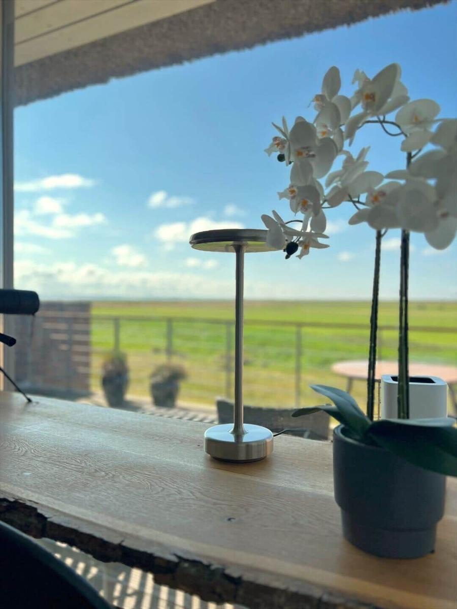 A lamp and an orchid are on the table. A green field is visible in the background.