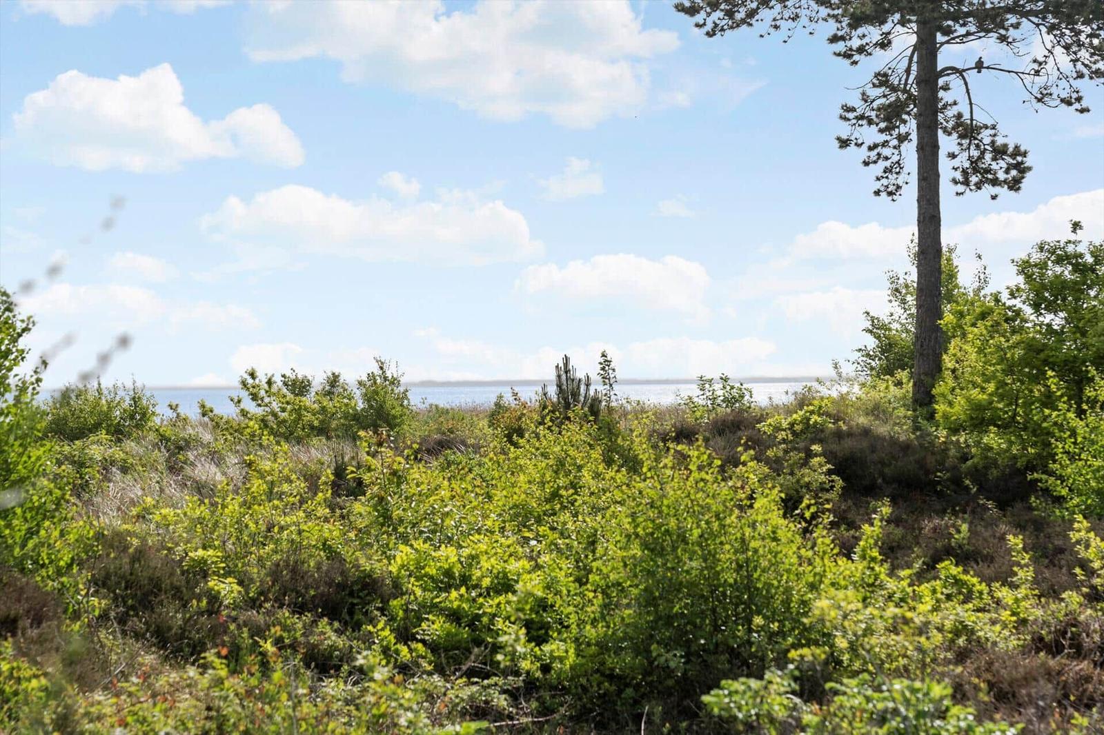 Grüne Vegetation mit Blick auf Wasser unter blauem Himmel mit weißen Wolken.