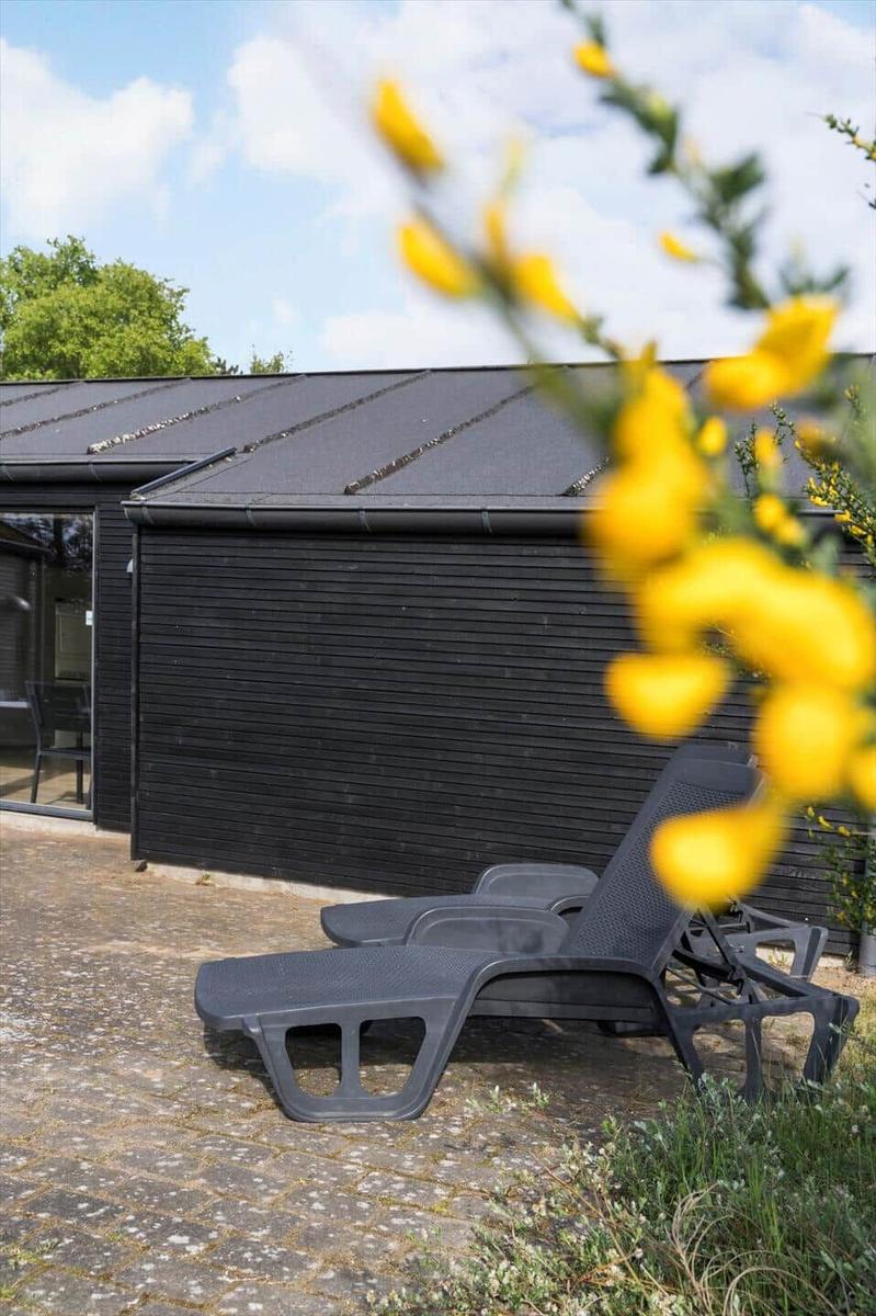 Schwarzes Haus mit Liegestühlen und gelben Blumen im Vordergrund.