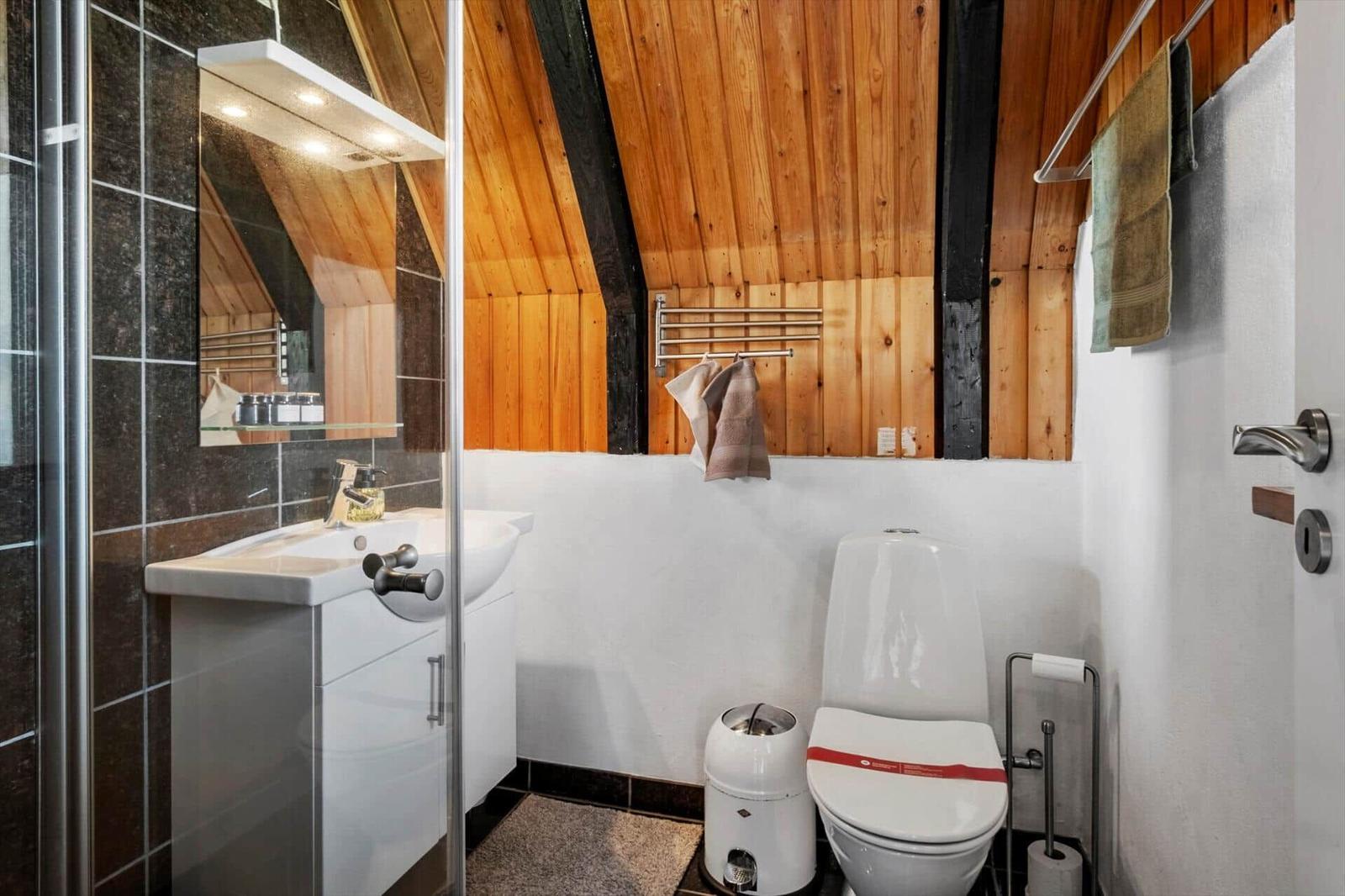 Badezimmer mit Dusche, Waschbecken und Toilette unter Holzdecke.