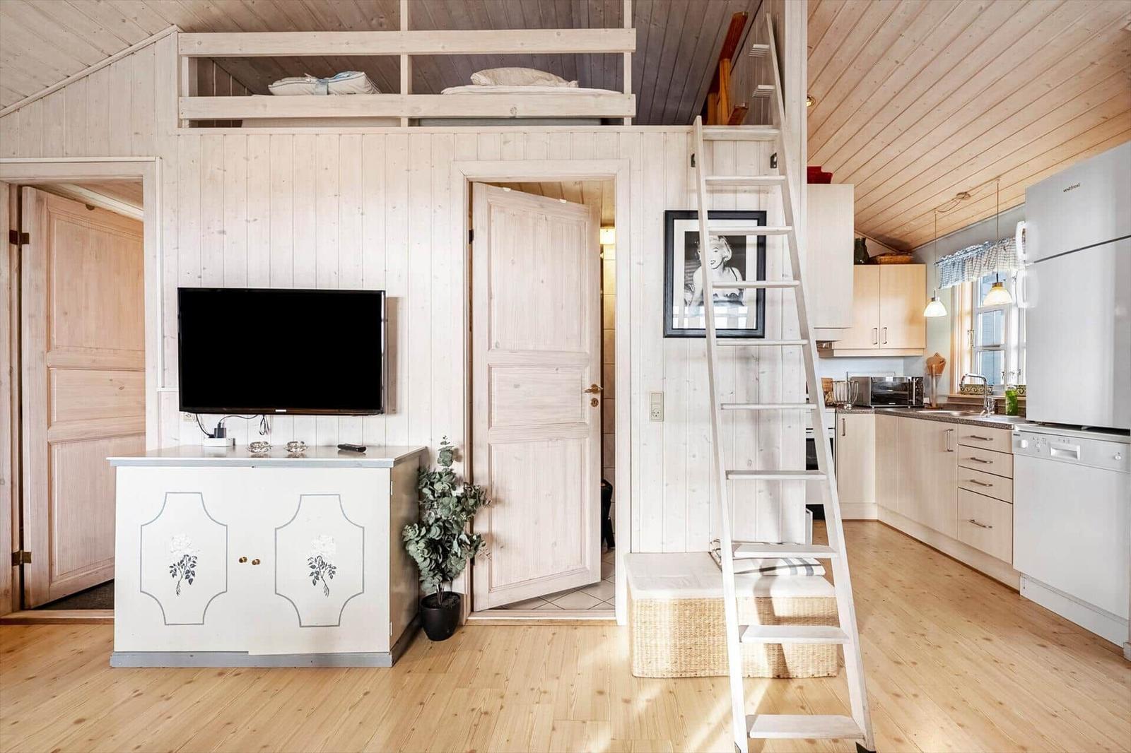 Living kitchen with double bed, TV, and refrigerator.