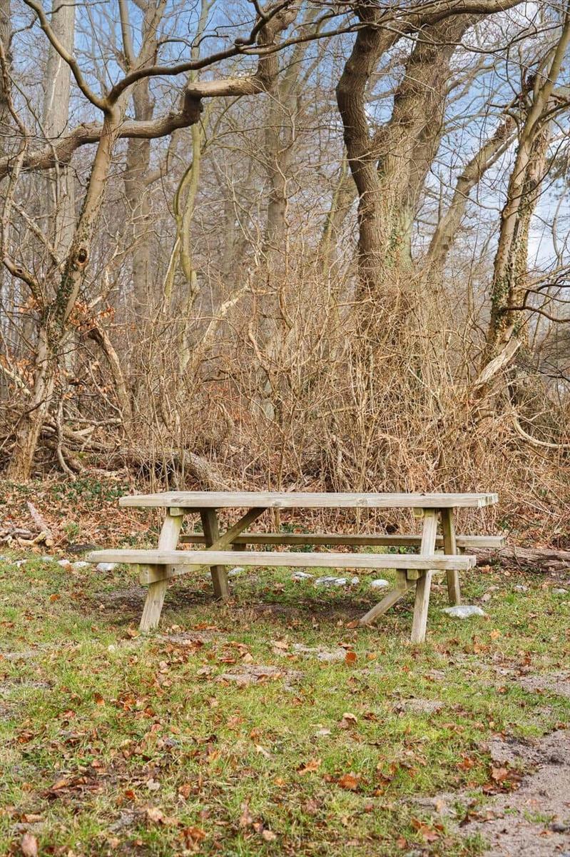 Wooden picnic table in the forest with trees and grass.