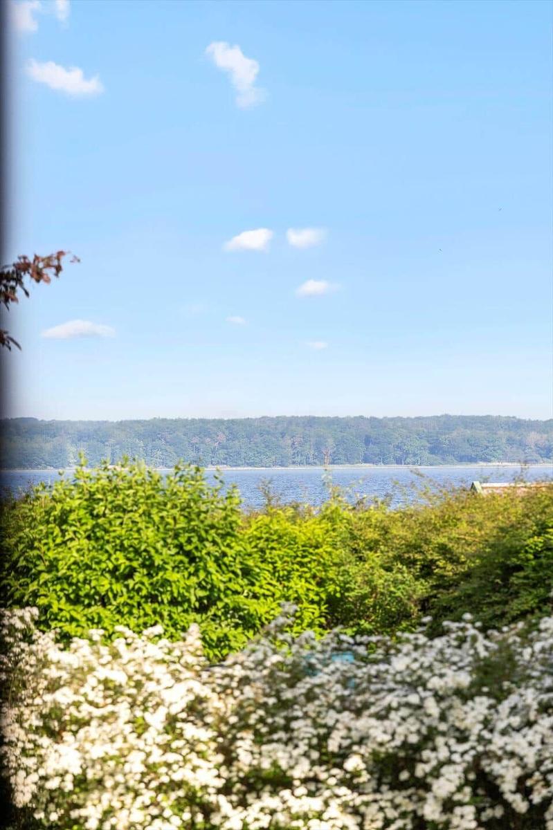 View of a lake with forest in the background and blue sky with white clouds.